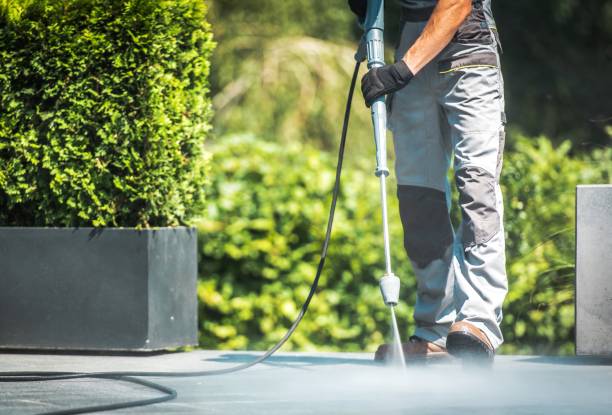 Best Animal Enclosure Cleaning  in East Rockingham, NC