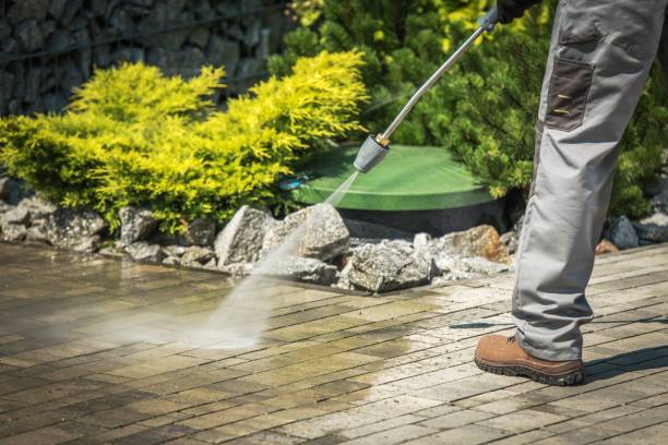 Best Soft Washing  in East Rockingham, NC