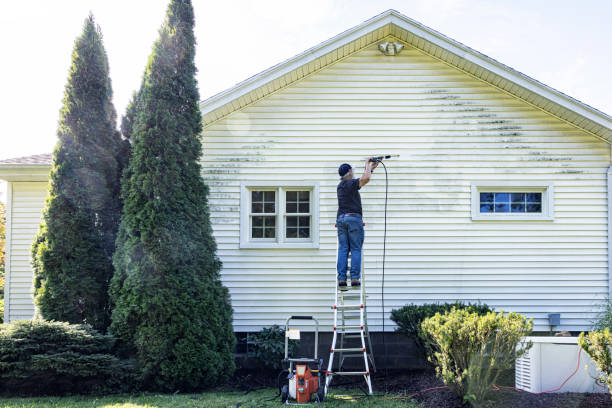 Best Dumpster Area Cleaning  in East Rockingham, NC